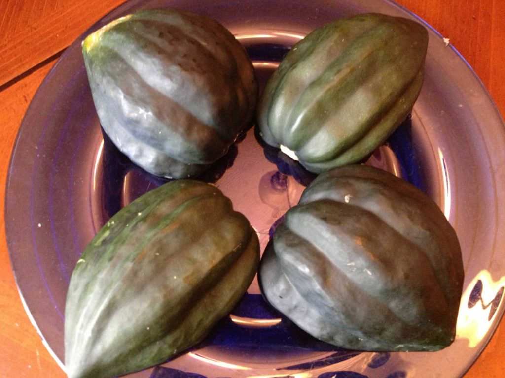 Microwave Acorn Squash