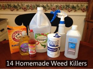Ingredients to make homemade weed killers